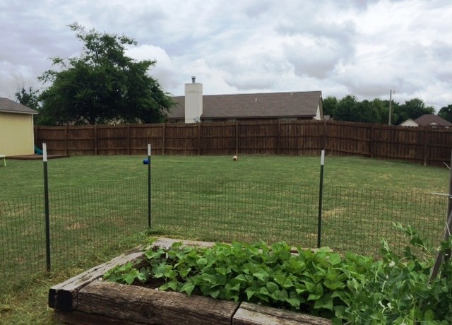 Garden into Backyard