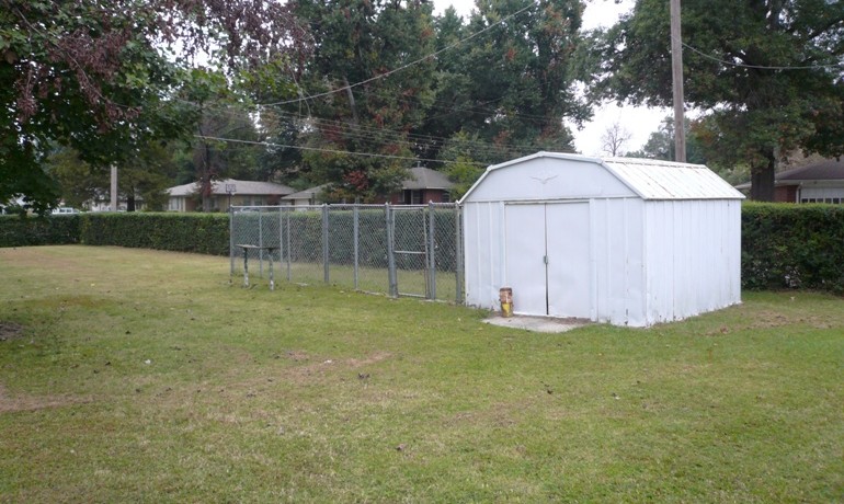 Back shed