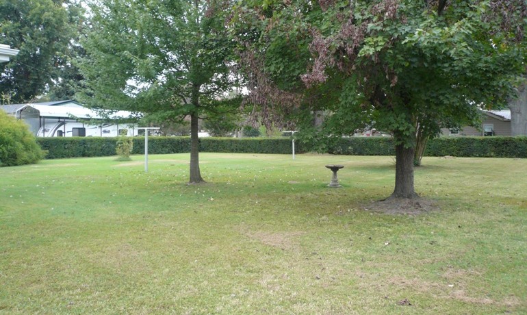 Backyard 1